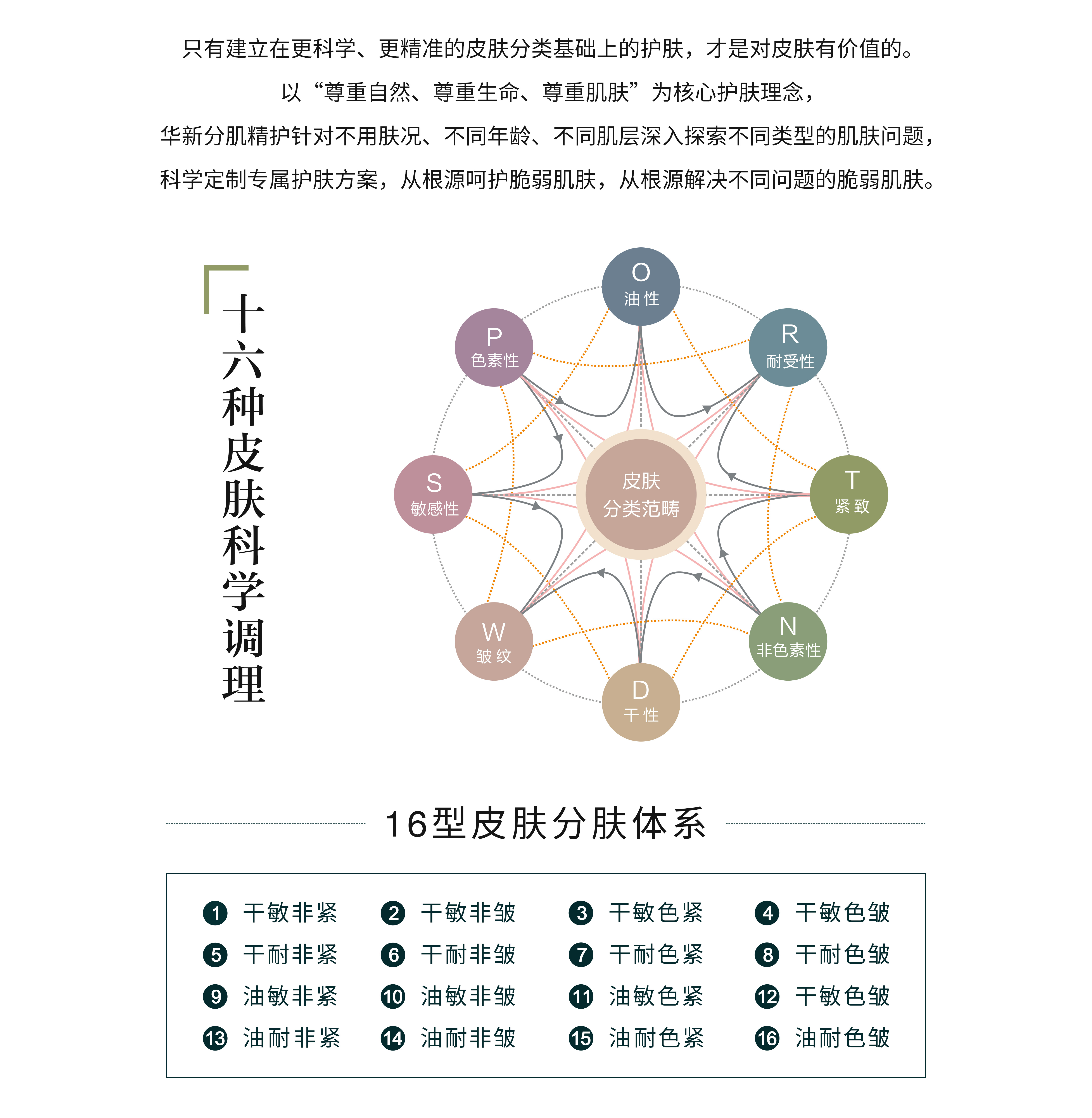 分肌精护.jpg