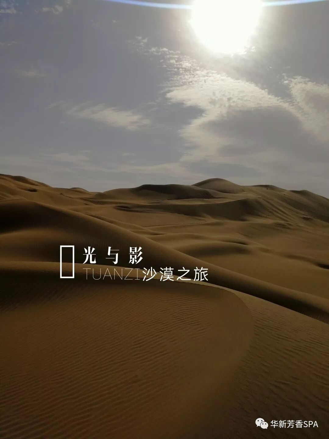 49be7ca9bc7fe9aafd89ca1b1329a9d2.jpg